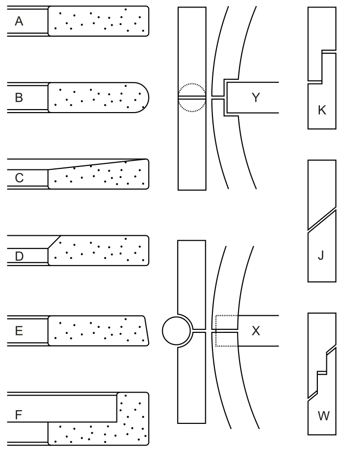 cấu tạo của xéc măng (Nguồn: https://en.wikipedia.org/wiki/File:Fasce_eleastiche.svg)